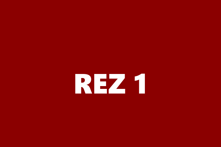 Technology Company REZ 1