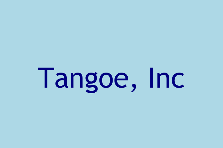 IT Company Tangoe Inc