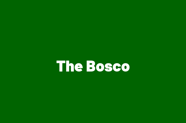 Technology Company The Bosco