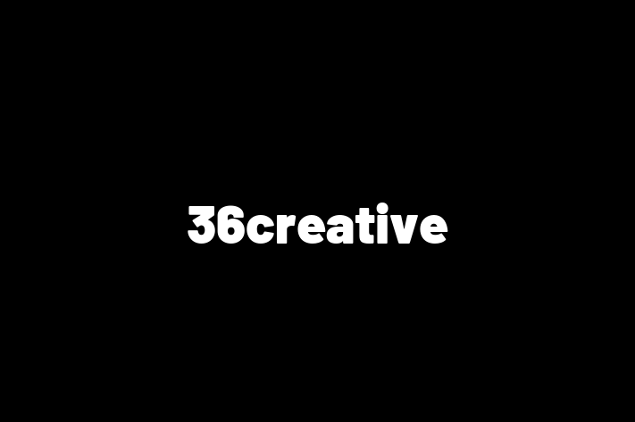 Software Services Company 36creative