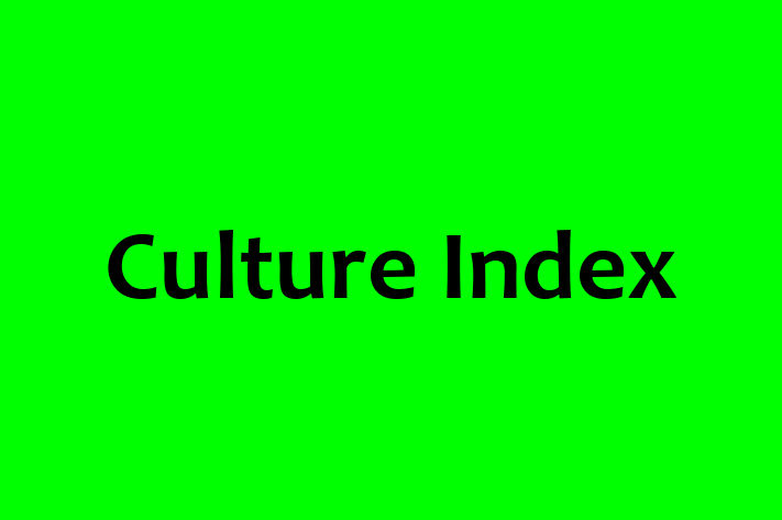 Technology Solutions Firm Culture Index