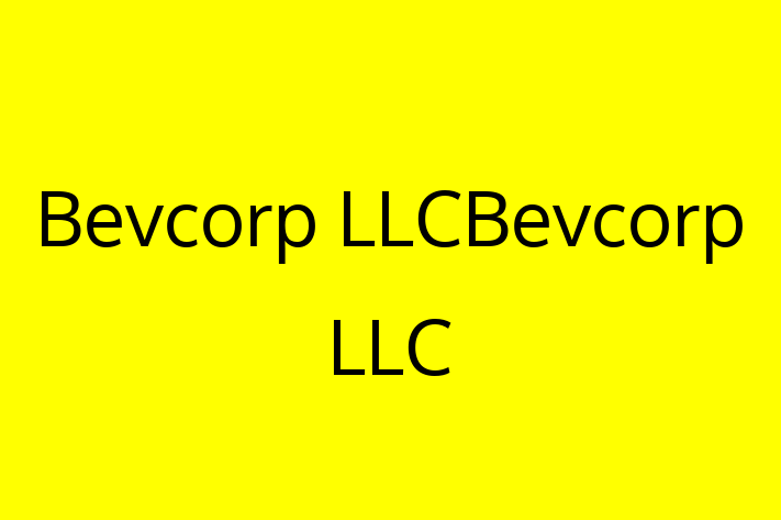 Software Consultancy Bevcorp LLCBevcorp LLC