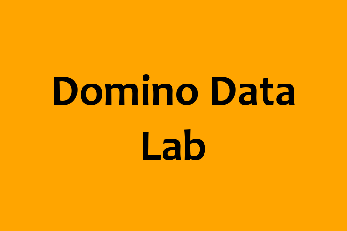 Technology Company Domino Data Lab