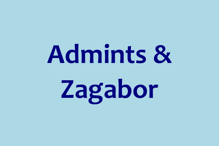 Software Development Company Admints  Zagabor