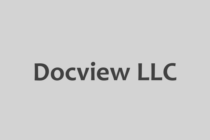 Software Firm Docview LLC