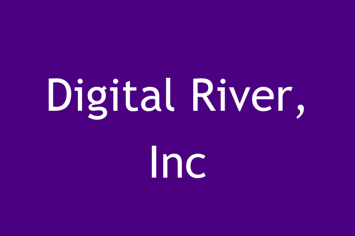 Software Consultancy Digital River Inc