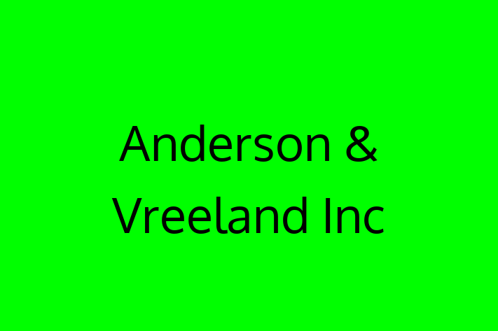 Technology Solutions Firm Anderson Vreeland Inc