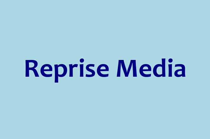 Tech Firm Reprise Media