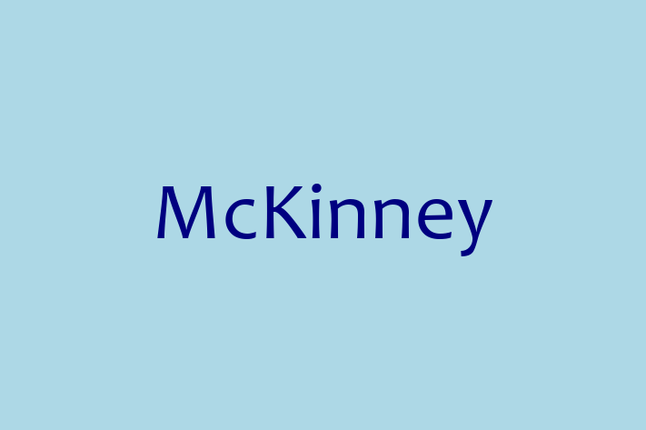 Software Engineering Company McKinney