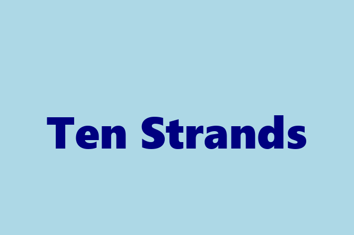 Employee Relations Ten Strands