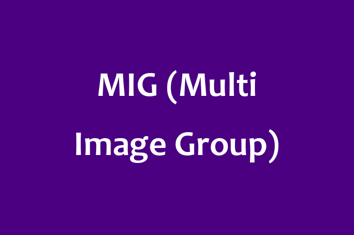 Technology Solutions Firm MIG Multi Image Group