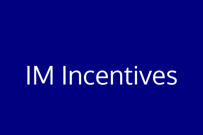 Software Consultancy IM Incentives