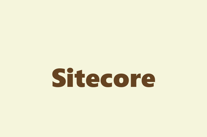 IT Company Sitecore