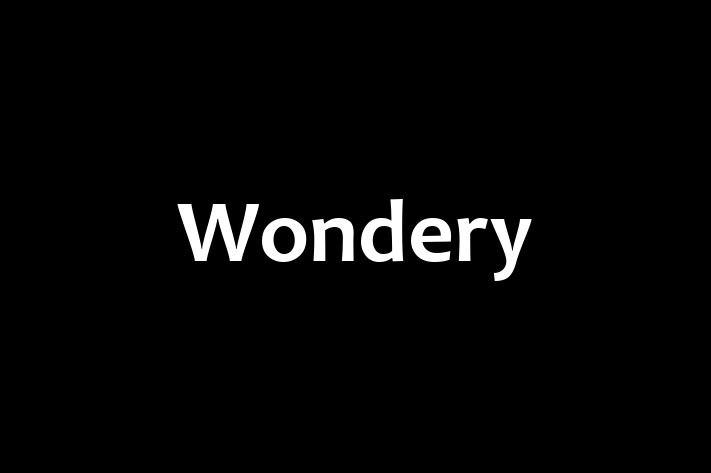 Software Development Company Wondery