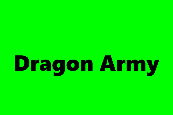 Tech Firm Dragon Army