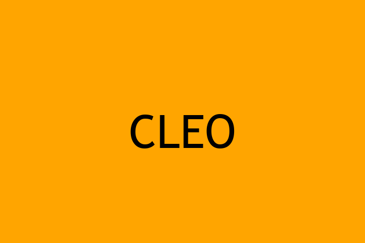 Software Development Company CLEO