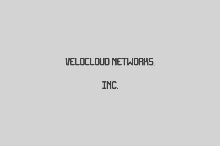 Software Engineering Company VeloCloud Networks Inc.