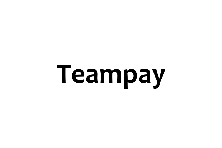 Application Development Company Teampay