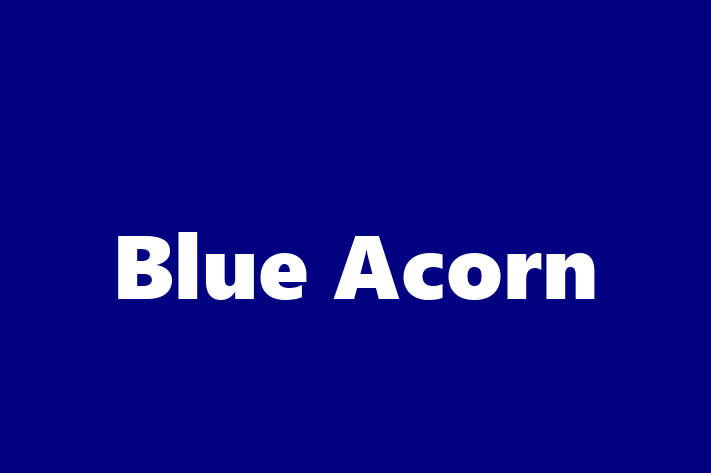 IT Company Blue Acorn