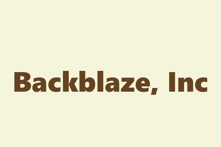 Software Solutions Provider Backblaze Inc