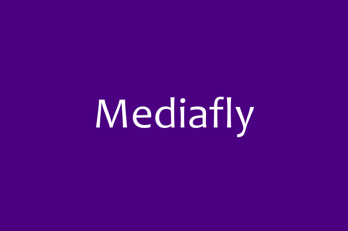 Tech Solutions Company Mediafly