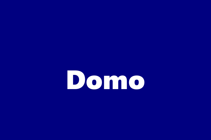 Software Consultancy Domo