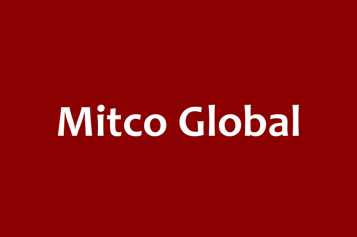 Technology Company Mitco Global