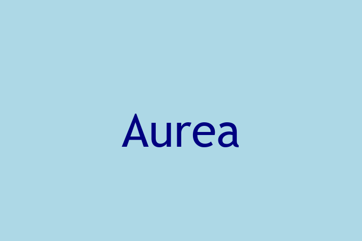 Software Solutions Provider Aurea