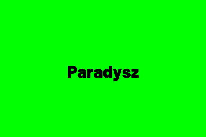 Digital Solutions Provider Paradysz