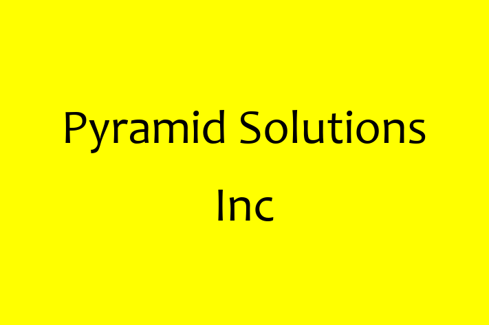 Software Development Firm Pyramid Solutions Inc