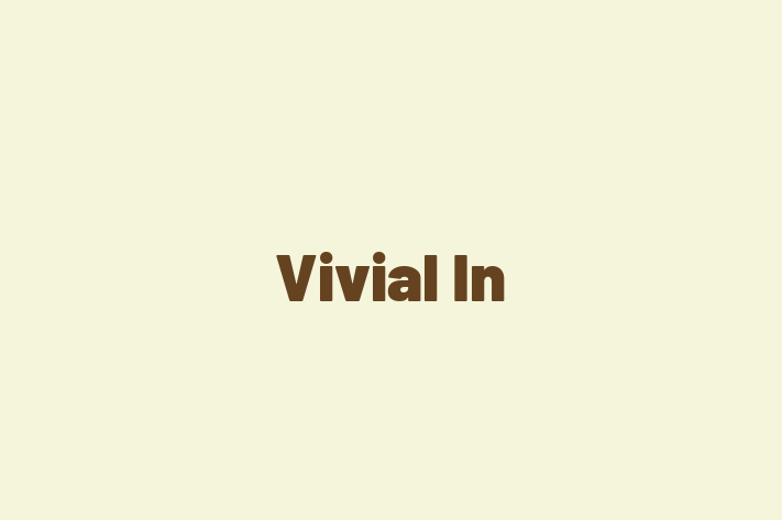 Tech Firm Vivial In