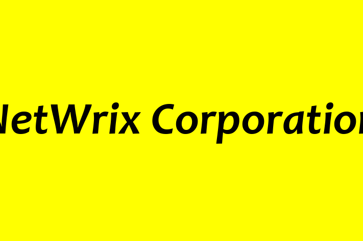 Software Development Firm NetWrix Corporation