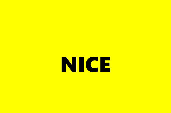 Application Development Company NICE