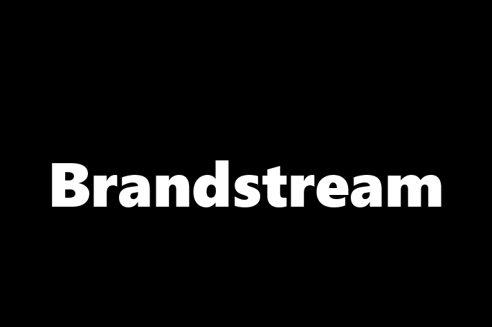 Digital Solutions Provider Brandstream