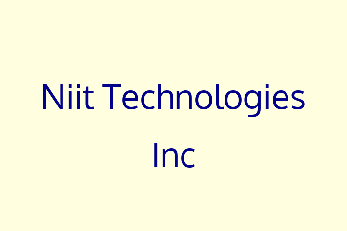 IT Company Niit Technologies Inc