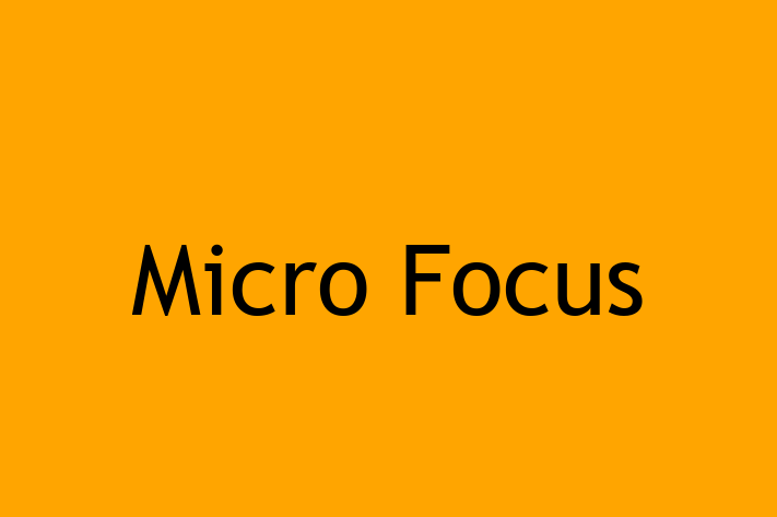 Application Development Company Micro Focus