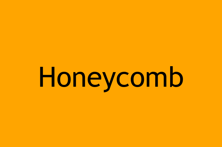 Tech Solutions Company Honeycomb