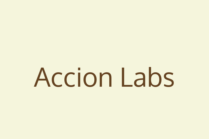 Digital Solutions Provider Accion Labs