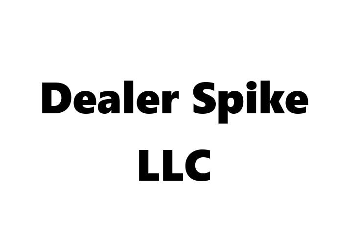 Software Consultancy Dealer Spike LLC