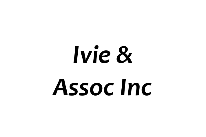 IT Company Ivie Assoc Inc