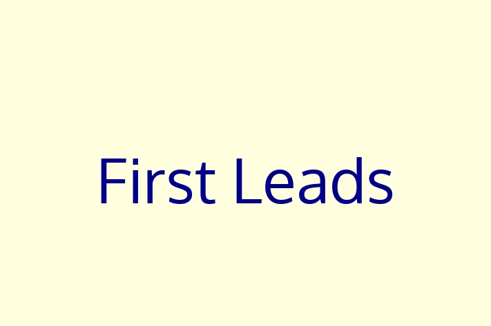 Software Development Company First Leads