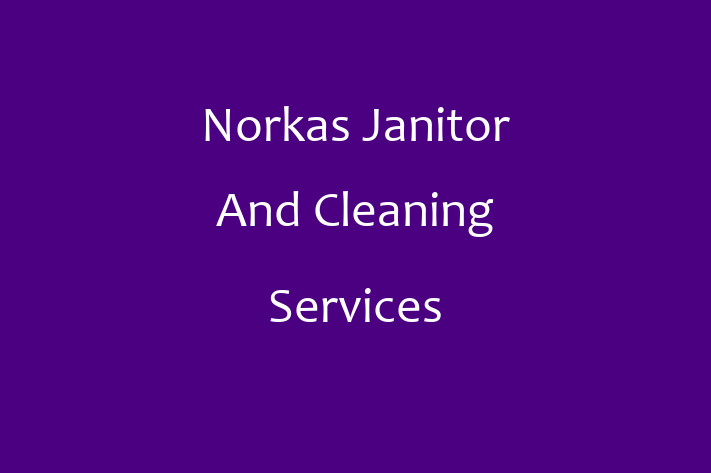 Home Sanitation Norkas Janitor And Cleaning Services