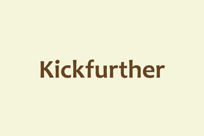 IT Company Kickfurther