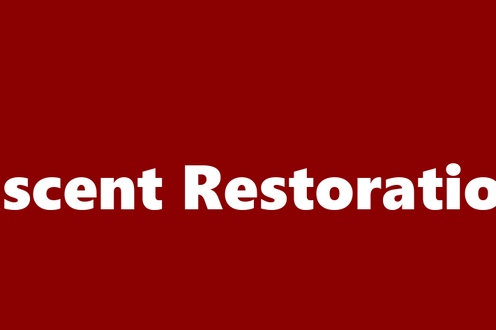 Workforce Management Ascent Restoration