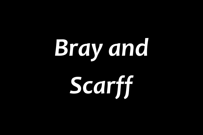 People Management Bray and Scarff