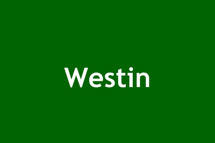 Staff Management Westin