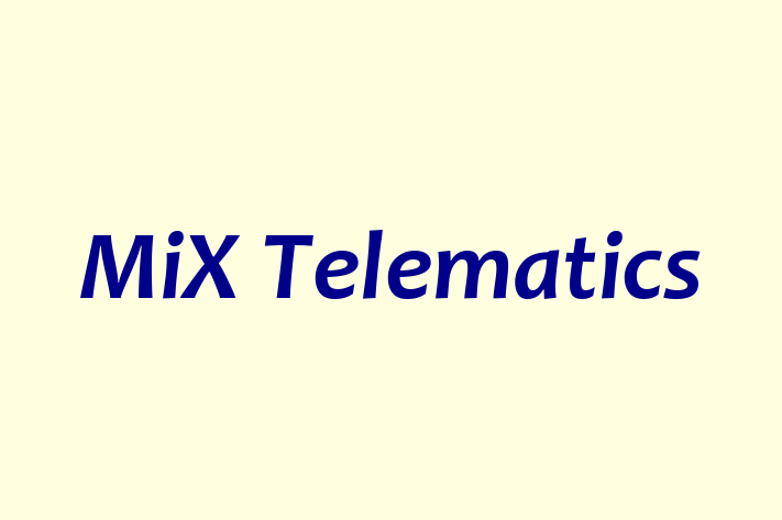 Software Consultancy MiX Telematics