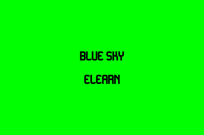 Software Engineering Company Blue Sky eLearn