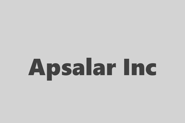 IT Company Apsalar Inc