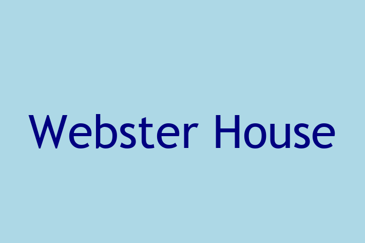 Tech Firm Webster House